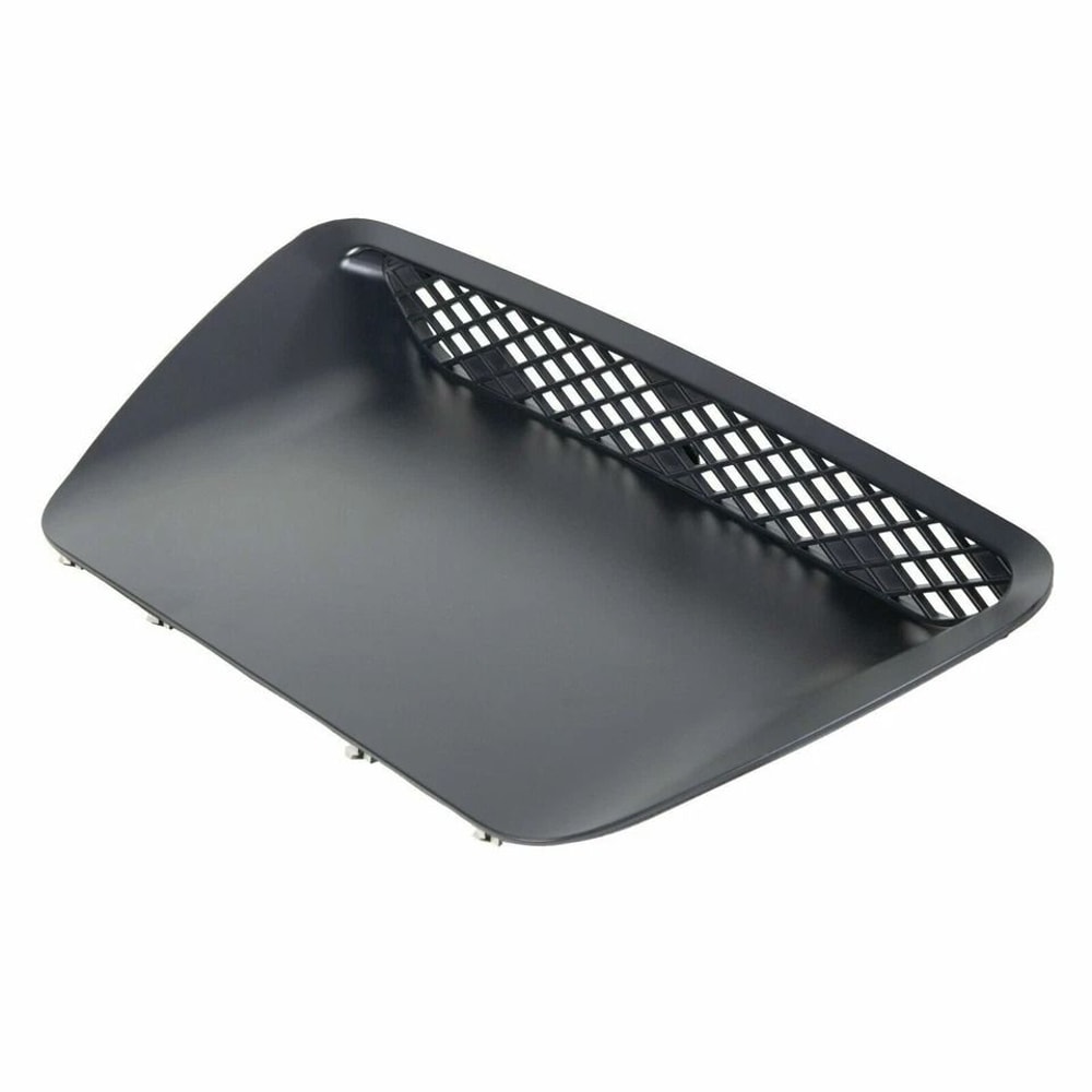 Hood Scoop Insert Paint To Match 4