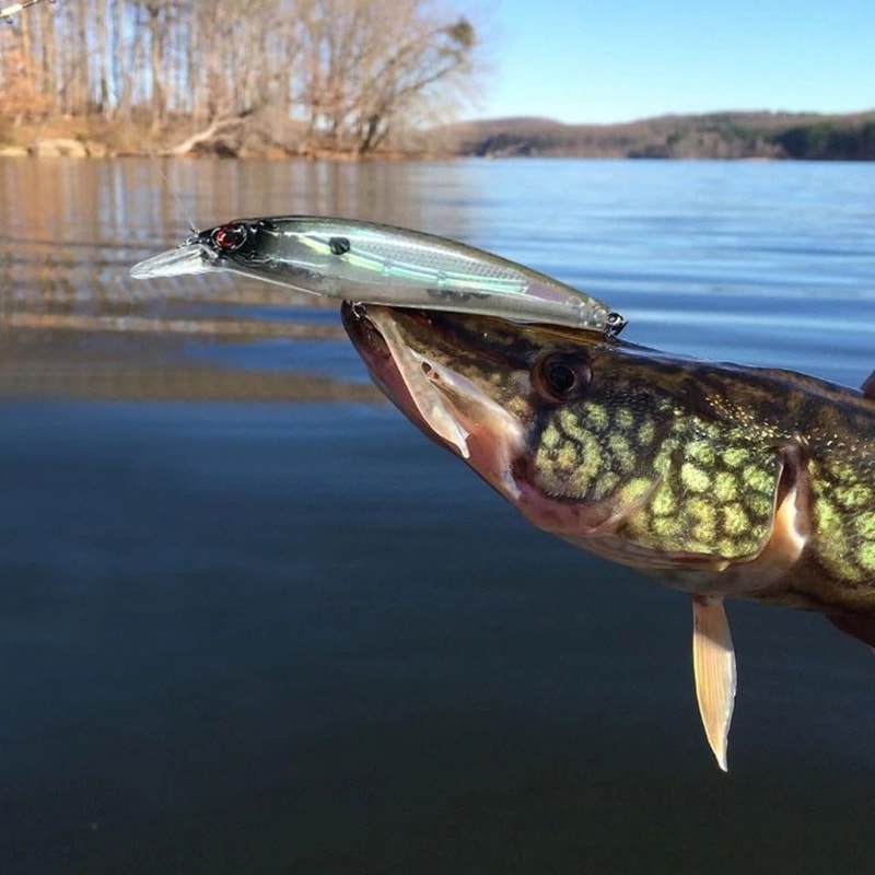 Lot Kinds Of Fishing Lures Crankbaits Hooks Minnow Baits Tackle Crank 2