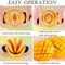 Mango Slicer Pitter With Ergonomic NonSlip Grip Stainless Steel Fruit Cutter 2