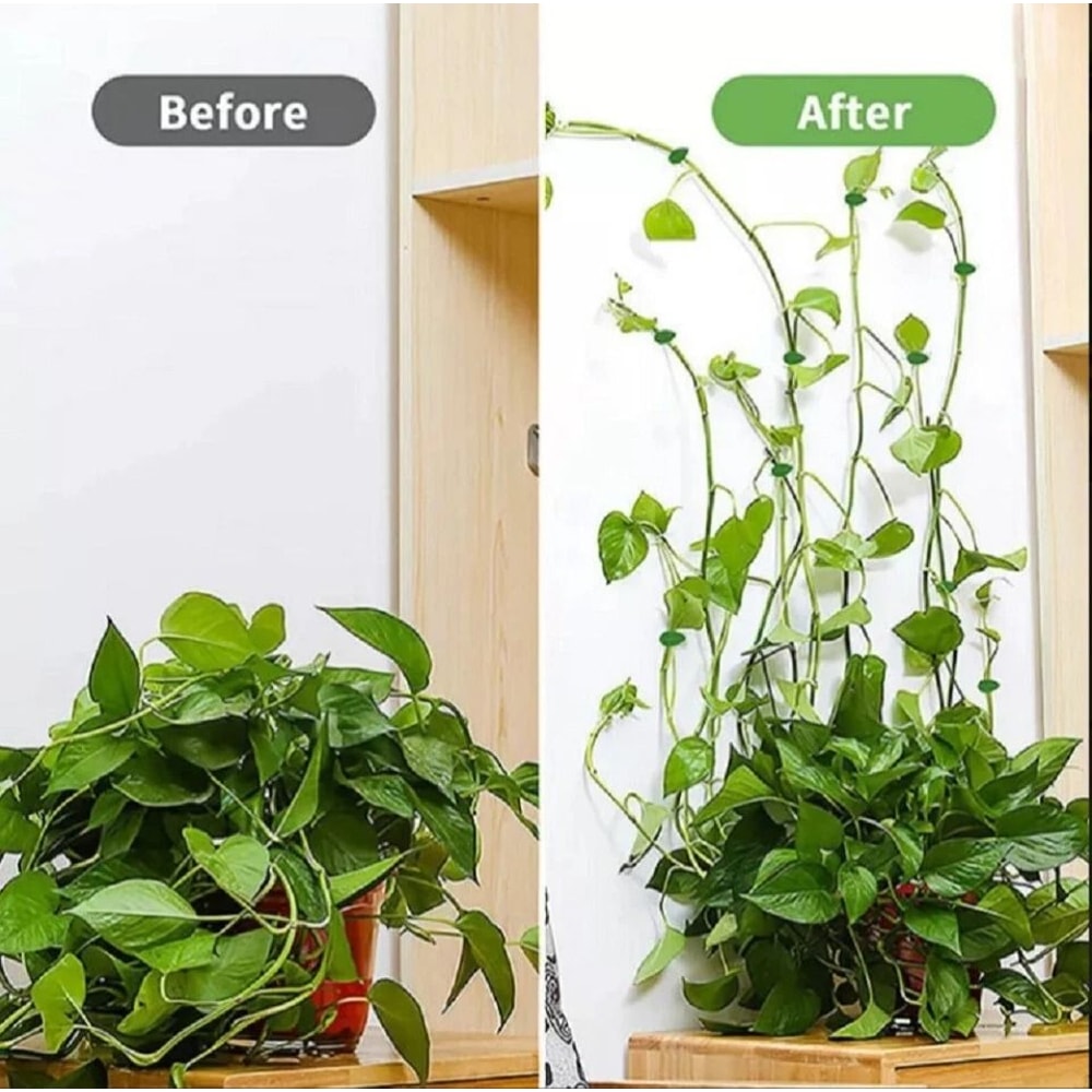 Self Adhesive Plant Clips For Wall Vine Support Ideal For Climbing Plants And Indoor Decor 2