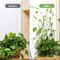 Self Adhesive Plant Clips For Wall Vine Support Ideal For Climbing Plants And Indoor Decor 2