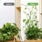Self Adhesive Plant Clips For Wall Vine Support Ideal For Climbing Plants And Indoor Decor 2