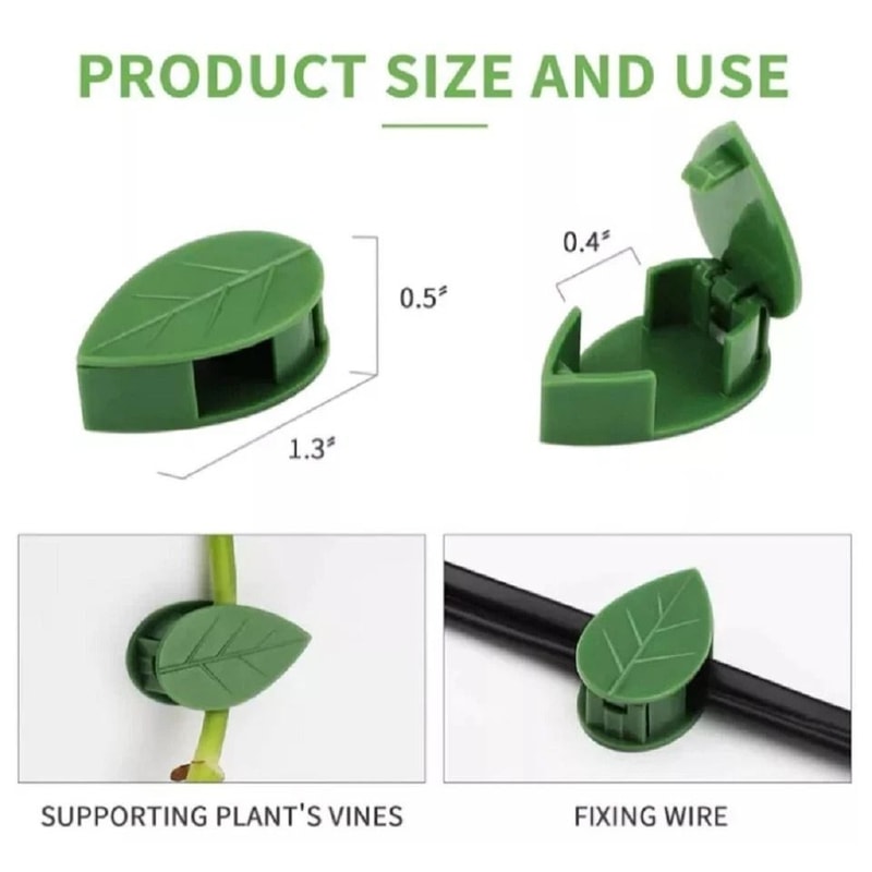 Self Adhesive Plant Clips For Wall Vine Support Ideal For Climbing Plants And Indoor Decor 5