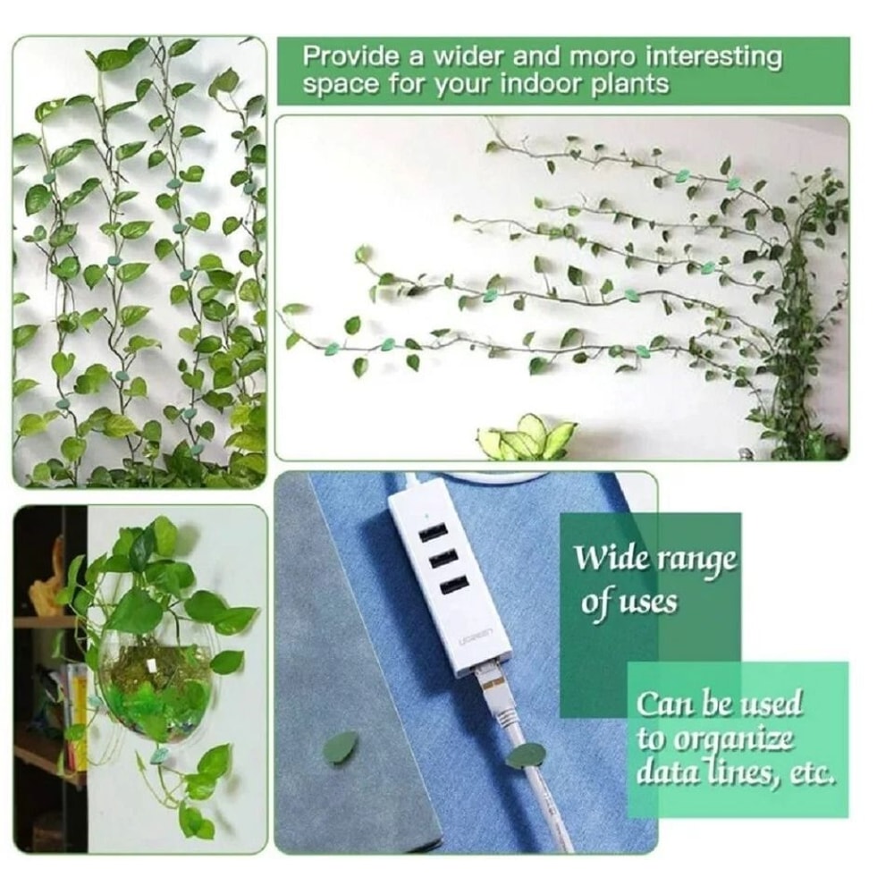 Self Adhesive Plant Clips For Wall Vine Support Ideal For Climbing Plants And Indoor Decor 6