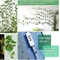 Self Adhesive Plant Clips For Wall Vine Support Ideal For Climbing Plants And Indoor Decor 6