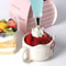 Cake Decorating Kit Piping Bag Icing Tips Set For Cupcake And Pastry Baking DIY 9