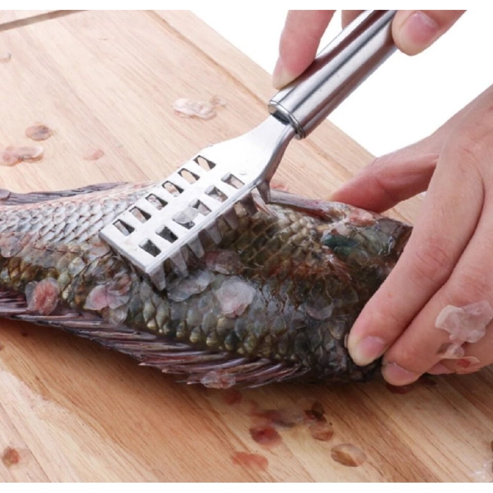 Stainless Steel Fish Scaler Brush Fish Scale Scraper Tool For Seafood Cleaning 3