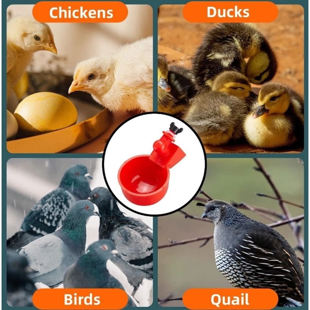 Automatic Chicken Waterer Cups For Coop DIY Poultry Drinking System 1