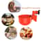 Automatic Chicken Waterer Cups For Coop DIY Poultry Drinking System 4