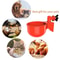 Automatic Chicken Waterer Cups For Coop DIY Poultry Drinking System 4