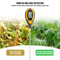 Garden Soil Tester Digital Soil Tester For PH Moisture Sunlight Temperature 4