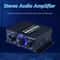 Channel Amplifier HiFi Stereo Bass Amp For Car And Home 10