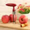 Stainless Steel Apple Corer Set Fruit Core Remover Kitchen Tool 0