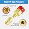 Adapter Kit Brass Quick Couplers High Low Side Car AC Conversion 1