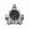 Adjustable Fuel Pressure Regulator Kit With Gauge PSI For Carbureted Engines 4
