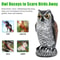 Realistic Owl Decoy Bird Deterrent For Garden Yard Patio 1