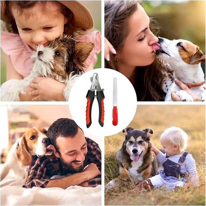 Professional Dog Nail Clippers Heavy Duty Pet Grooming Scissors For Safe Precise Trimming 2