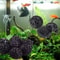 Aquarium Bio Balls Filter Media For Fish Tanks Canisters And Ponds 4