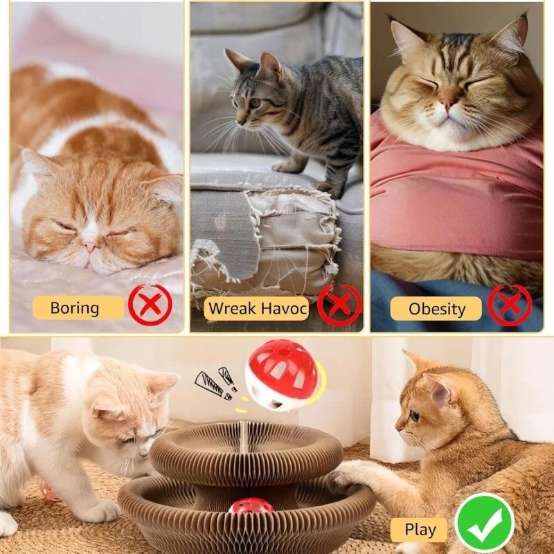 Interactive Cat Scratcher Pad With Ball Track For Indoor Play 1