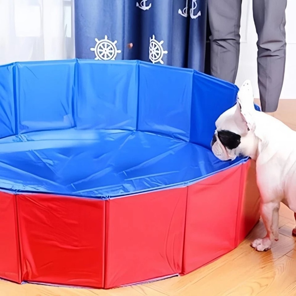 Foldable Dog Pool And Collapsible Pet Bathtub 1
