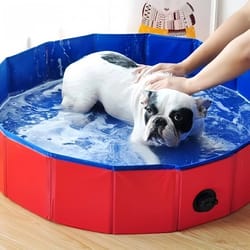 foldable dog pool and collapsible pet bathtub