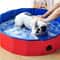 Foldable Dog Pool And Collapsible Pet Bathtub 0