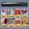 Automatic Vacuum Sealer Machine For Fresh Food Storage 6