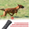 Ultrasonic Anti Bark Dog Training Repeller For Humane Bark Control 4