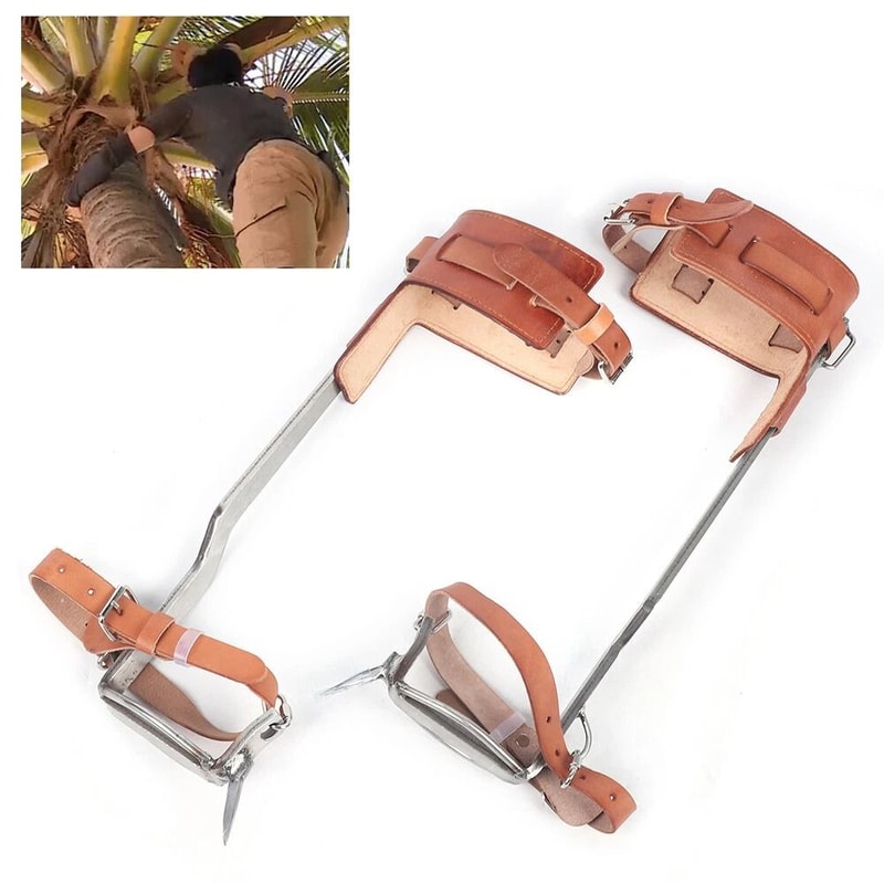 Stainless Steel Tree Climbing Spikes With Comfort Straps And Safety Spurs 1