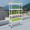 Premium Vertical Hydroponic Grow System Plant Sites Indoor Garden Kit 0