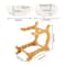 Premium Tier Fruit Basket Kitchen Counter Organizer Fruit Bowl 3