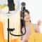 Professional Adjustable Gooseneck Microphone Stand With Desk Clamp Mic Holder For Broadcasting Rec 7