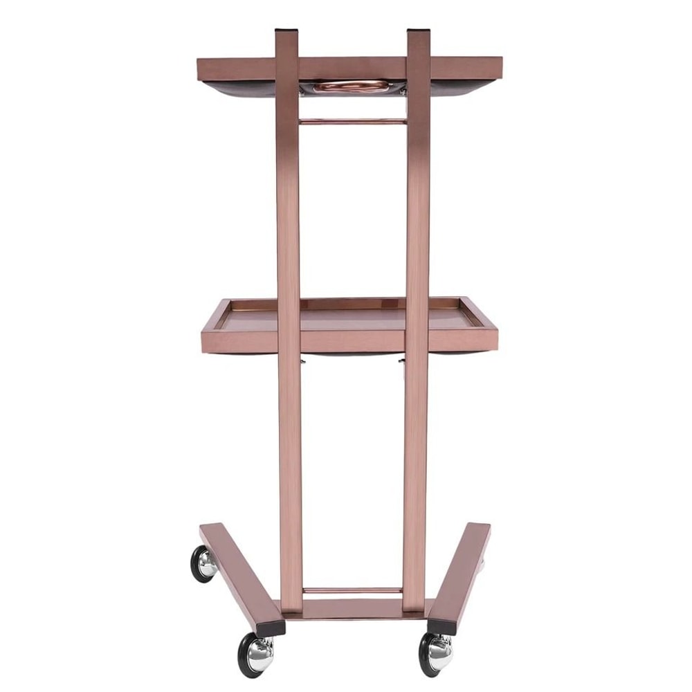 Professional Salon Trolley Cart With Trays Wheels Durable Hairdressing Trolley Workstation 0