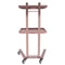 Professional Salon Trolley Cart With Trays Wheels Durable Hairdressing Trolley Workstation 0