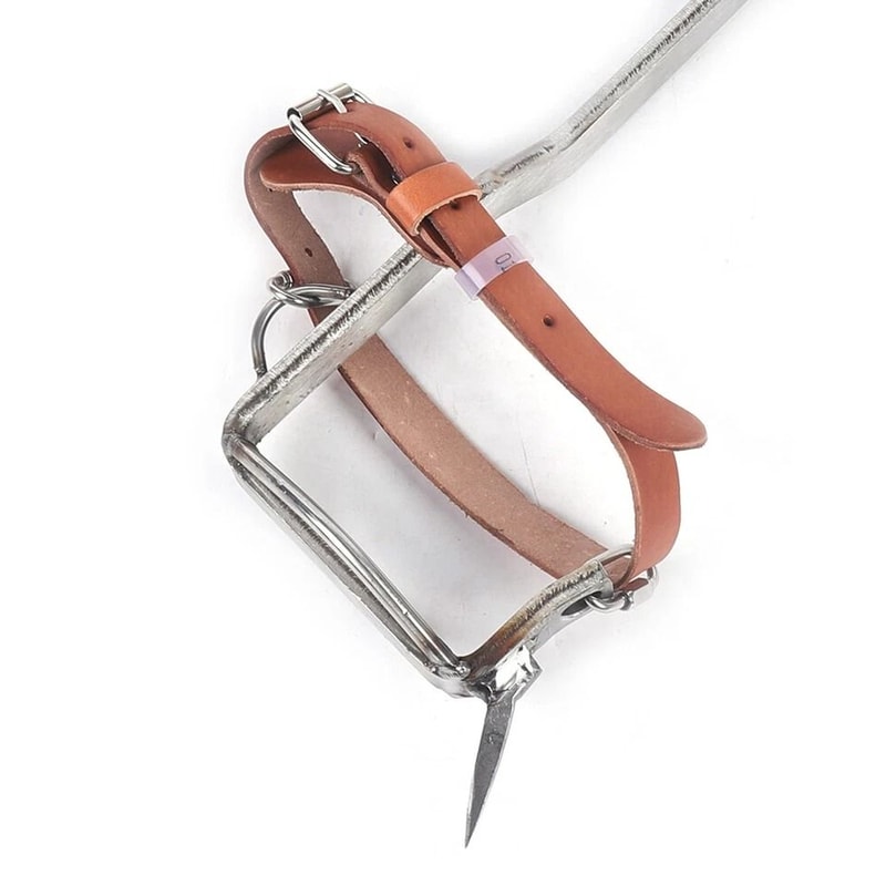 Tree Climbing Spikes Stainless Steel Climbing Spurs Set Capacity Professional Climbing Gaffs 2
