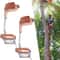 Tree Climbing Spikes Stainless Steel Climbing Spurs Set Capacity Professional Climbing Gaffs 0
