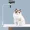 Rotating HandsFree Hair Dryer Stand For Home Styling 4