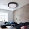 LED Ceiling Light Fixture Energy Efficient Acrylic LED Ceiling Lamp For Living Room 3