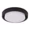 LED Ceiling Light Fixture Energy Efficient Acrylic LED Ceiling Lamp For Living Room 4