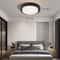 LED Ceiling Light Fixture Energy Efficient Acrylic LED Ceiling Lamp For Living Room 6