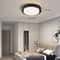 LED Ceiling Light Fixture Energy Efficient Acrylic LED Ceiling Lamp For Living Room 9