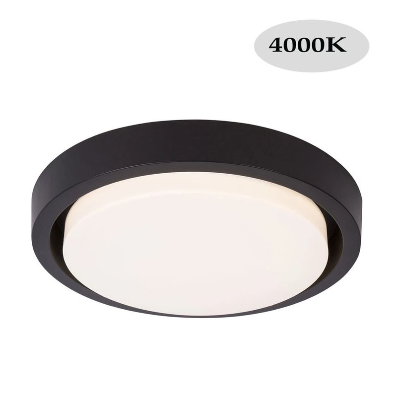 LED Ceiling Light Fixture Energy Efficient Acrylic LED Ceiling Lamp For Living Room 7