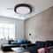 Modern LED Ceiling Light Flush Mount Acrylic Lamp Energy Efficient Living Room Lighting 1