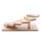 Premium Tier Staircase Sushi Display Rack Japanese Cuisine Rack Dessert Plate Holder 5