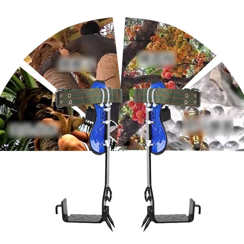 Heavy Duty Tree Climbing Gear Set With Adjustable Spikes Safety Belt 1