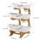 Elegant Tier Dessert Stand For Parties Fruit Displays 4
