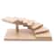 Sushi Display Stand Japanese Dessert Serving Rack For Sushi Plates Cupcakes And Catering Displays 8