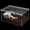 Gallon Acrylic Reptile Breeding Box Magnetic Terrarium Enclosure 0