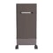 Adjustable Home Gym Storage Rack With Wheels For Dumbbells Yoga Mats And Workout Equipment 2