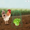 Garden Chicken Wire Cloche Plant Protector Covers For Vegetables Flowers Seedlings 0